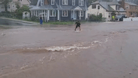 Man Skimboards Across Floodwaters in Connecticut as Tropical Storm Henri Hits New England