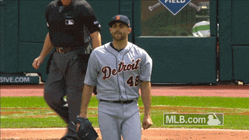 detroit tigers matt GIF by MLB