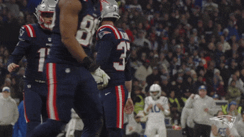 Nfl Pats GIF by New England Patriots