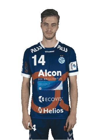 TV Großwallstadt Sticker