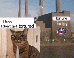 Columbus Blue Jackets Nhl GIF