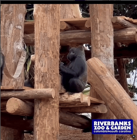 Animated GIF - Find & Share on GIPHY