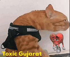 Bad Posture GIF