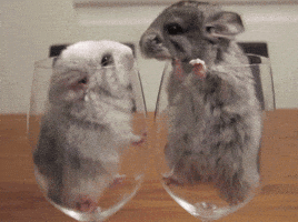 source: imgur.com