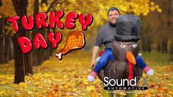 Thanksgiving Turkey Day GIF by Sound FX