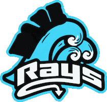 Tampa Rays Wave Sticker by The Stingray Allstars Tampa