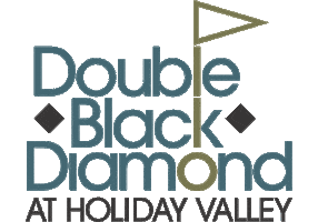 New York Golf Sticker by Holiday Valley