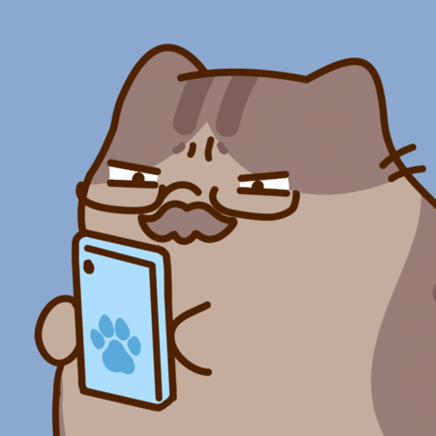Confused Cat GIF by Bichi Mao