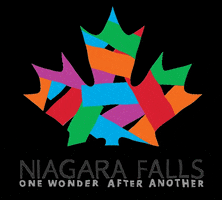 GIF by Niagara Falls Tourism