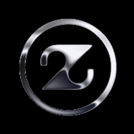 Swag Jewelry GIF by zweisilber
