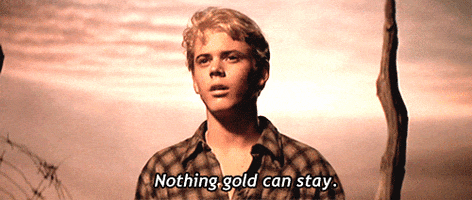 The Outsiders Ponyboy Curtis GIF
