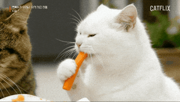 흑백논리요리사 GIF