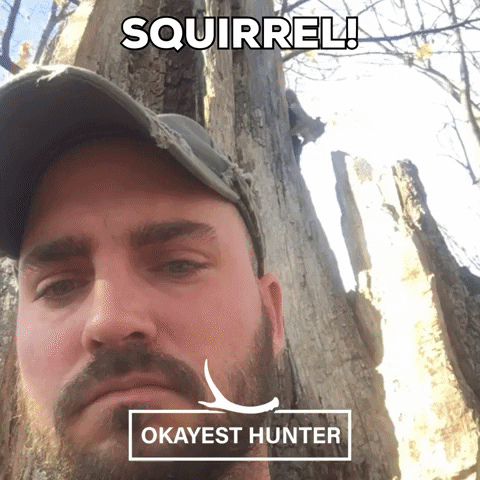 OkayestHunter squirrel hunting okayest hunter okayesthunter GIF