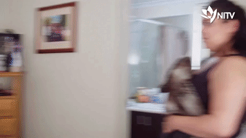 Nitv Familyrules GIF