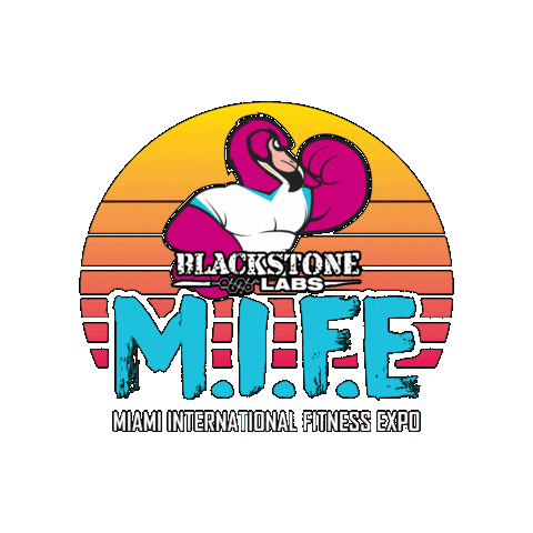 Fitness Miami Sticker by MIFE