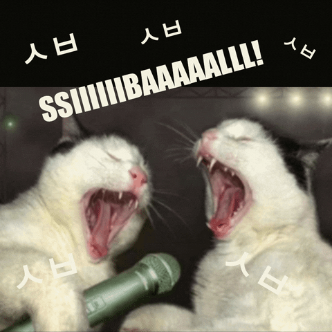 yawning animals gif