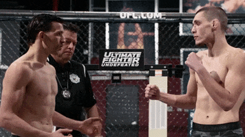 the ultimate fighter tuf 27 GIF by UFC