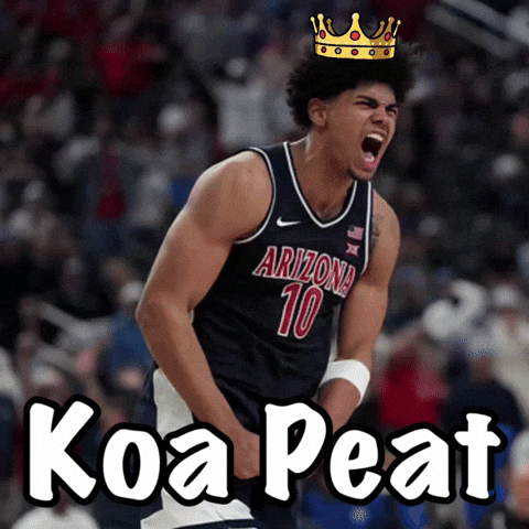 Arizona Basketball GIF