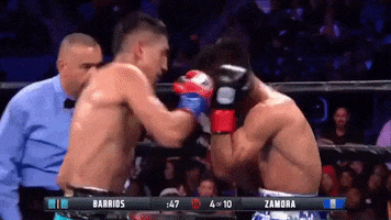 boxing ko GIF by SHOWTIME Sports