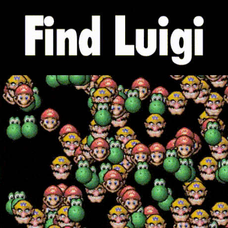 Meme GIF
