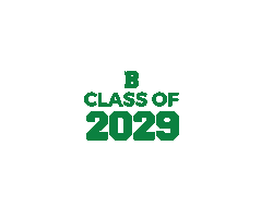 Sabres2029 Sticker by St. Brendan High School