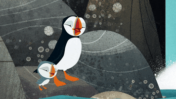 GIF by Puffin Rock