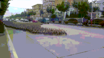 ducks lots GIF