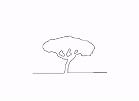 GIF by Office de Tourisme d'Istres