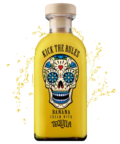 Kick The Rules Sticker