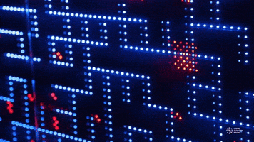 ccdmx minotauros elccd ivanabreu GIF