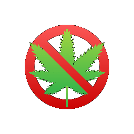 Weed Cannabis Sticker by Dutchnaturalhealing