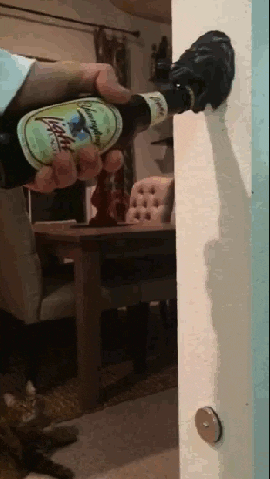 fun beer GIF