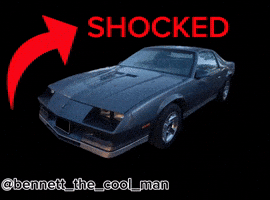 Z28 GIF