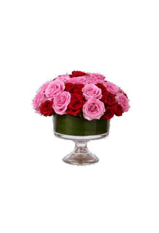 Sticker by Rookery Flowers