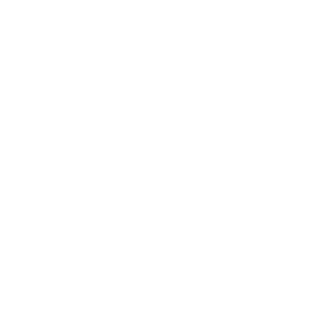 MINI South Africa Sticker