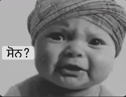 Son Punjabi GIF