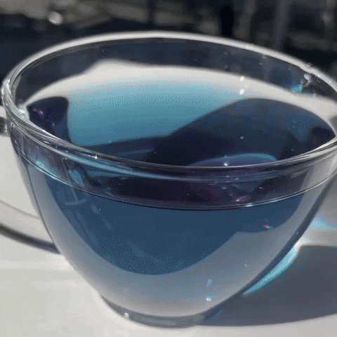 Ultraviolet GIF