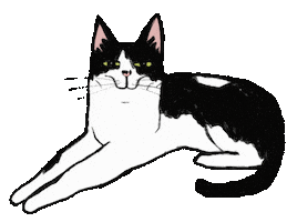 Cat Kitty Sticker by Danchhichi