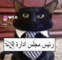 Wf0 GIF