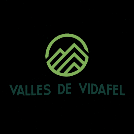Vidafel GIF