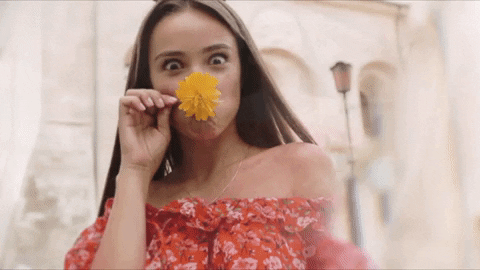Smelling The Roses Gif Smell Flower GIFs - Get the best GIF on GIPHY