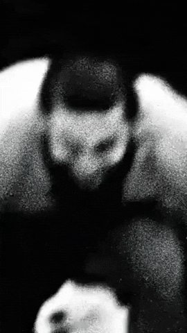 Fight GIF