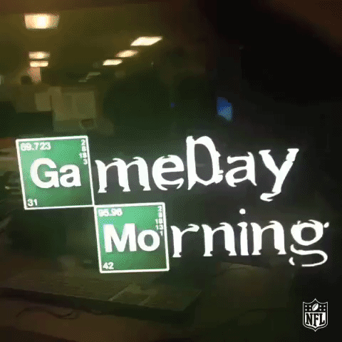 nflgameday GIF by NFL