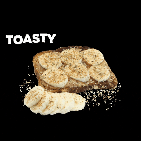 Toast GIF by Shake Smart