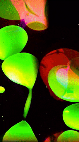 Lava Lamp GIF by Sweets Kendamas