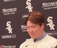 White Sox Chicago GIF