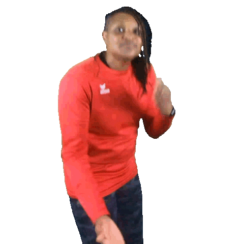 Sport Ball Sticker by TV Hörde