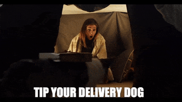 pizza dogs delivery takeout blanket fort GIF