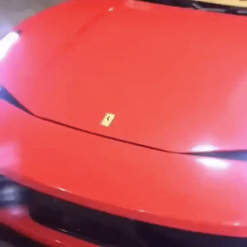 Raffa Moreira Bc Raff GIF