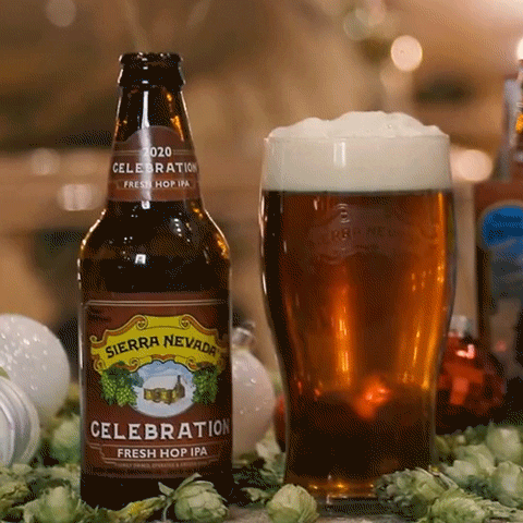 Celebration Ipa GIF by Sierra Nevada Beer